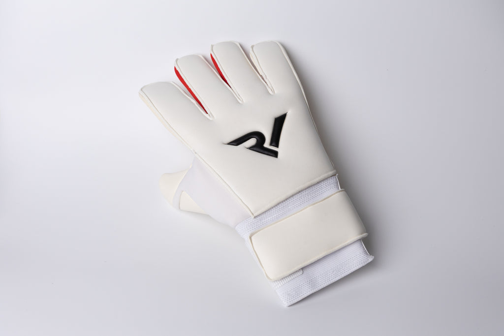 ReV PRO2